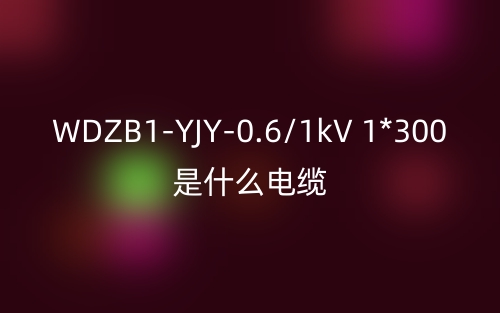 WDZB1-YJY-0.6/1kV 1*300是什么电缆？(图1)